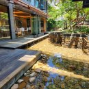 도당애견 이미지