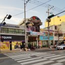 중흥 낚시터 | 부산낚시카페 부산실내낚시터 손맛 좋은 :: 스펀지실내낚시카페