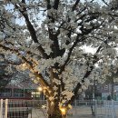 사월역 2번 출구 뒤 이미지