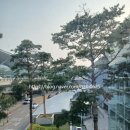 다편함 네이버블로그