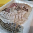 통발횟집 이미지