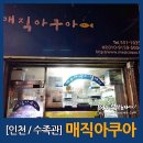계산동 988-1번지 앞(경인교대 3번 출구) | [인천수족관] 계산동 매직아쿠아 방문후기