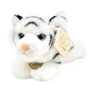 오로라월드(주) 이미지