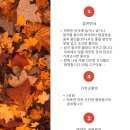 안녕숲 이미지