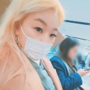 아연네감귤체험농장 이미지