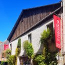 프롬즈 | 2025 하반기 공연 후기(오아시스, 레딩 페스티벌,BBC Proms,새소년, Men I trust 외)