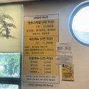 향촌 | 남해 맛집 남해향촌 메뉴 및 가격, 멸치쌈밥 내돈내산 후기