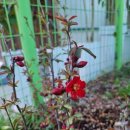 잿등공원 이미지