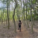 원적산공원 이미지