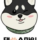 댕스마일 이미지