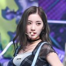 퍼플케이(purple k) 이미지