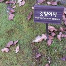 이천세계도자센터 이미지