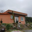 흑염소 한 닭 농장 이미지