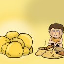 황금씨앗