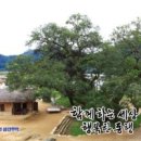 함께하는세상