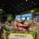 (주)베어비