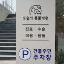 오월의 동물병원 이미지