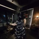 [대전 탄방동 파스타] 비스트로 코지 ㅡ 분위기 좋은 1인쉐프 맛집 (내돈내산)