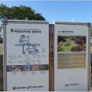 제주 올레길 13코스 이미지