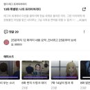 야차라운지 | 패션의 p자도 모르는 것들 ㅋ