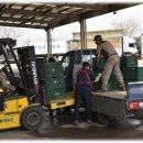 대저토마토산지유통센터 이미지