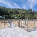 경북종합동물병원 연합뉴스