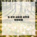 네일마치