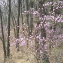 산수정민박 이미지