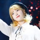브라이트헤어 이미지