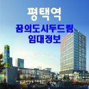 두드림공인중개사사무소 | 평택역 두드림오피스텔(도시형생활주택) 월세 임대정보!