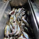 항구낚시 슈퍼 이미지