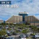 캐슬당구장 | 소노벨 델피노 부대시설 총정리 먹거리부터 놀거리까지 한 번에