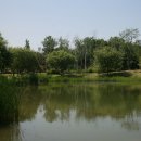 H9369 Daum카페