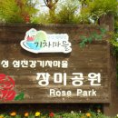 곡성-122 Daum카페