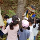 숲해설체험 이미지