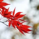 가장 아름다운 노래 (가창) 이미지