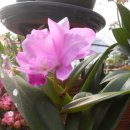 산정농원 이미지