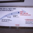 에이펙셀(주) 이미지