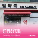임약국 이미지
