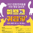 귀엽개 서울뉴스통신