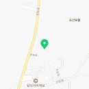 신당리 보호수