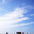 비타민충전소 이미지