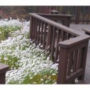 안나의 뜰 사랑채 이미지