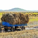 새날농장 이미지