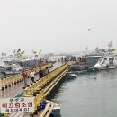 회뜨는서산