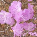 목련공원 족구장 이미지