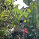 동부기사식당 | 아이스크림, 티켓투더문 입고, 동부투어 추천 비추천 기사 후기, 메종 오렐리아 사누르, 사누르 맛집