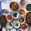강쥐애견