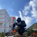 킹콩게임랜드 이미지