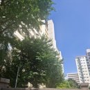 베니하우스25 이미지